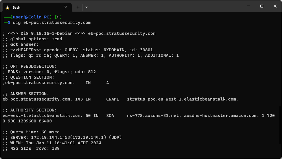 Console showing elastic beanstalk dig results